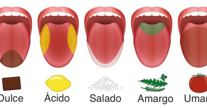 Opinión de Sabores: críticas sinceras y reseñas de comidas y bebidas