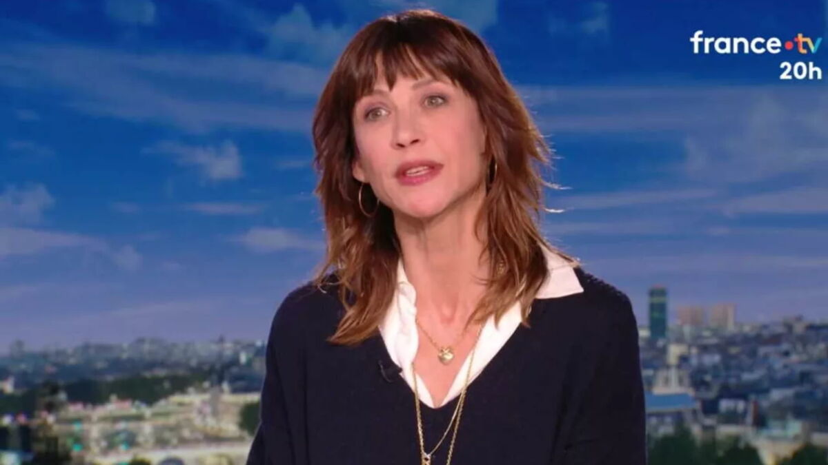 Opinión de Sophie food f2 1 Sophie Food F2: Análisis y Opinión Completa del Procesador de Alimentos