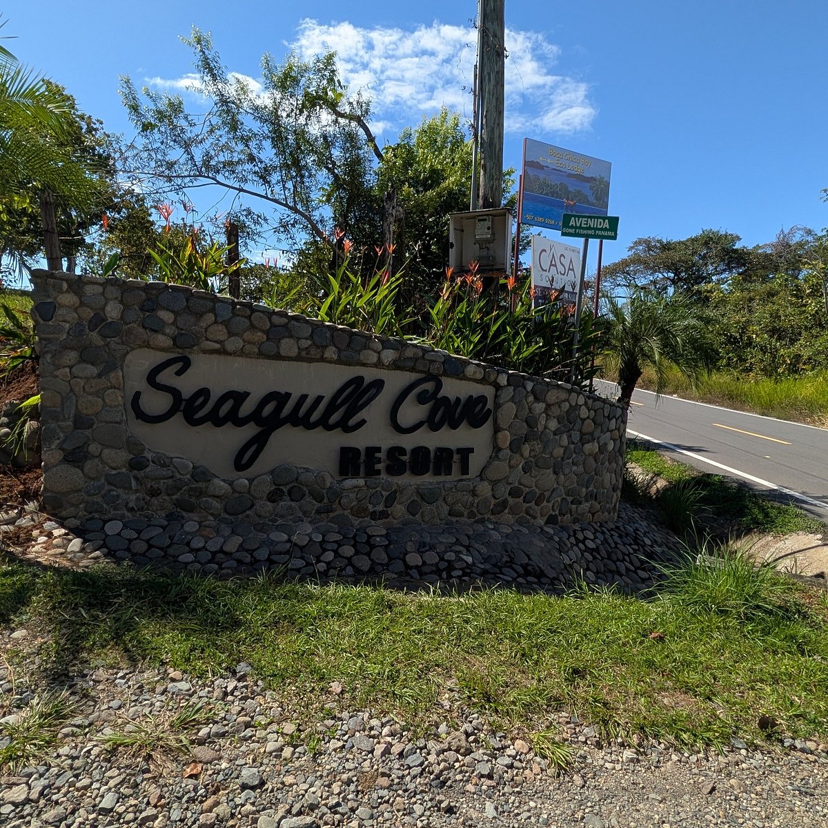 Seagull Cove Resort Opinión 2024: Fotos, Precios y Experiencia Real